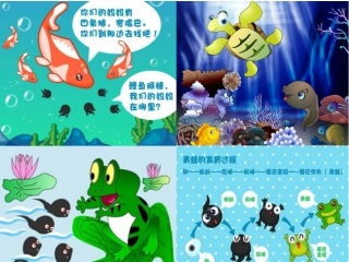 515两栖动物和爬行动物
