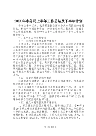 20XX年水务局上半年工作总结及下半年计划 