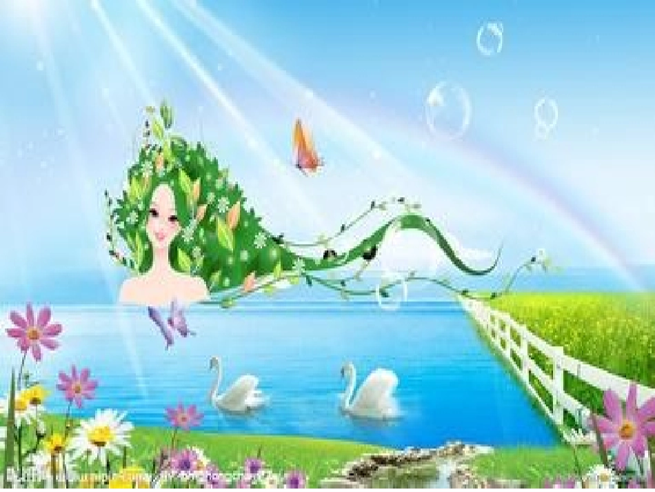 数学种子排队_第2页