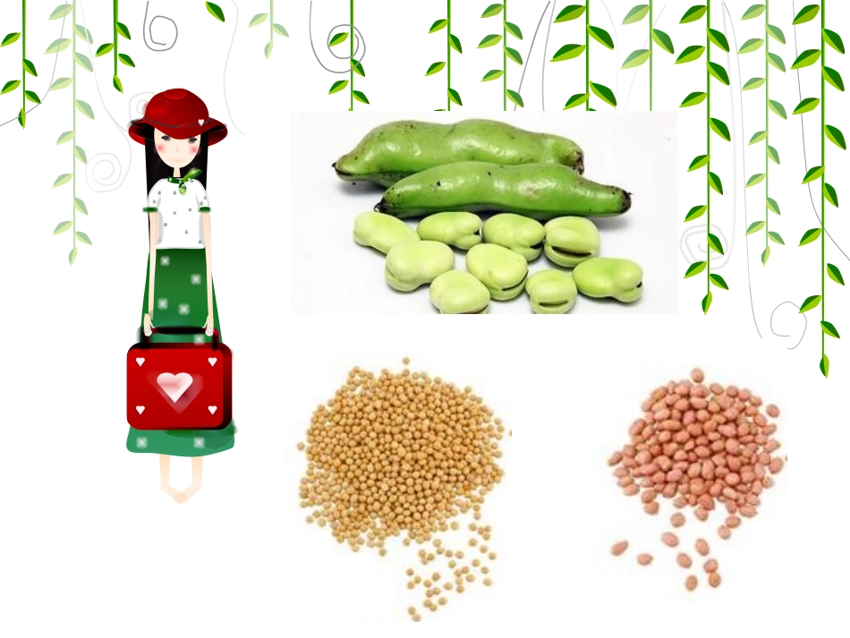 数学种子排队_第3页