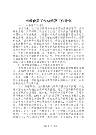 市粮食局工作总结及工作计划 