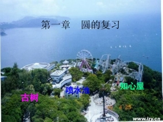 《圆的复习》课件