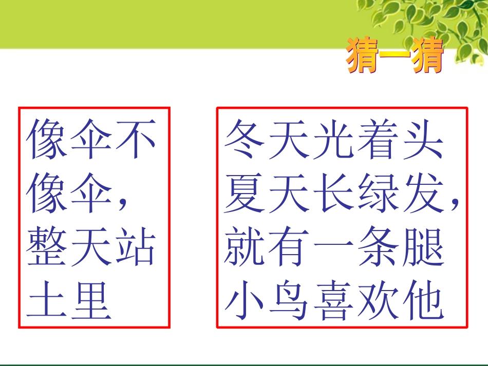 书上树下课件_第1页