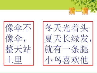 书上树下课件