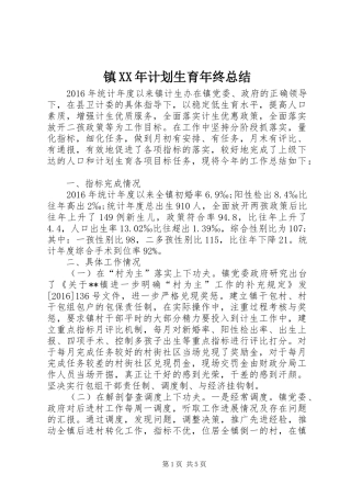 镇XX年计划生育年终总结 