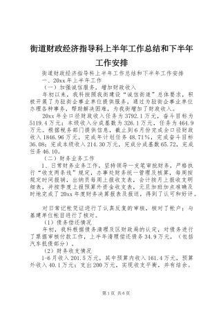 街道财政经济指导科上半年工作总结和下半年工作安排 