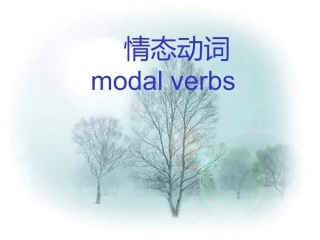 高三英语语法情态动词复习课件