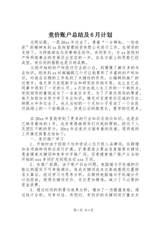 竞价账户总结及6月计划 