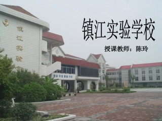 人体的神经调节