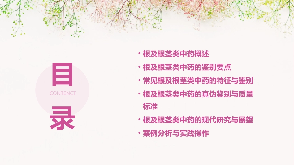 根及根茎类中药的鉴别要点与特征课件_第2页