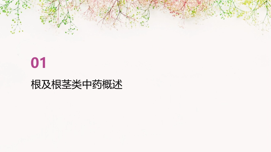 根及根茎类中药的鉴别要点与特征课件_第3页