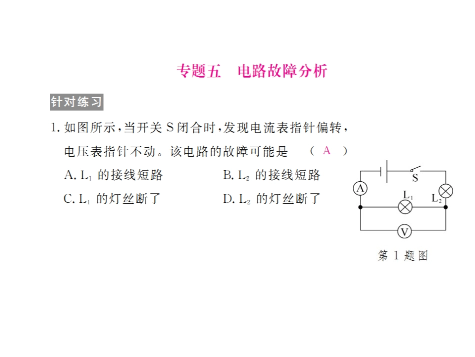 2018物理中考总复习-电路故障分析_第1页