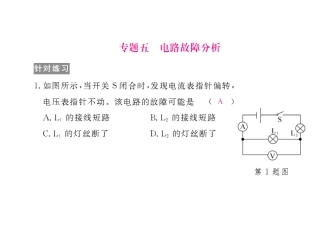 2018物理中考总复习-电路故障分析