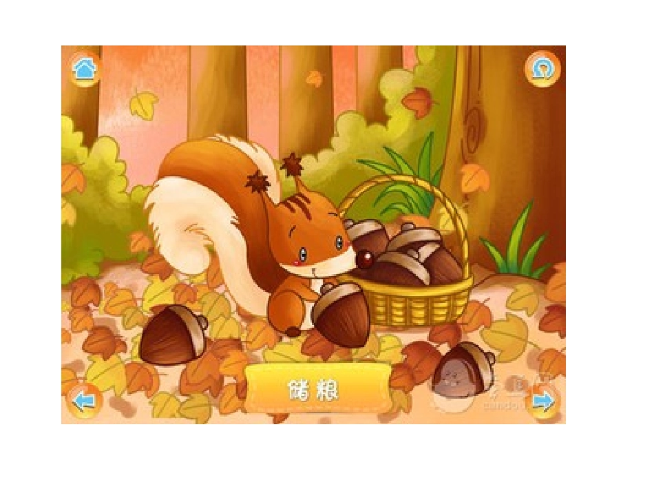 动物怎样过冬_第3页