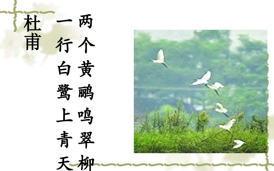 _动物在生物圈中的作用吕中肖鹏_第3页