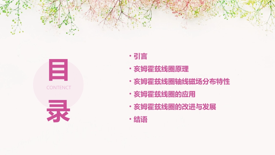 亥姆霍兹线圈轴线磁场分布解读课件_第2页