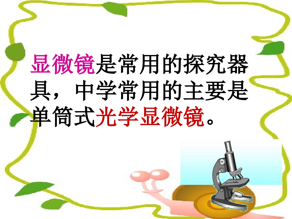 练习使用显微镜2_第2页