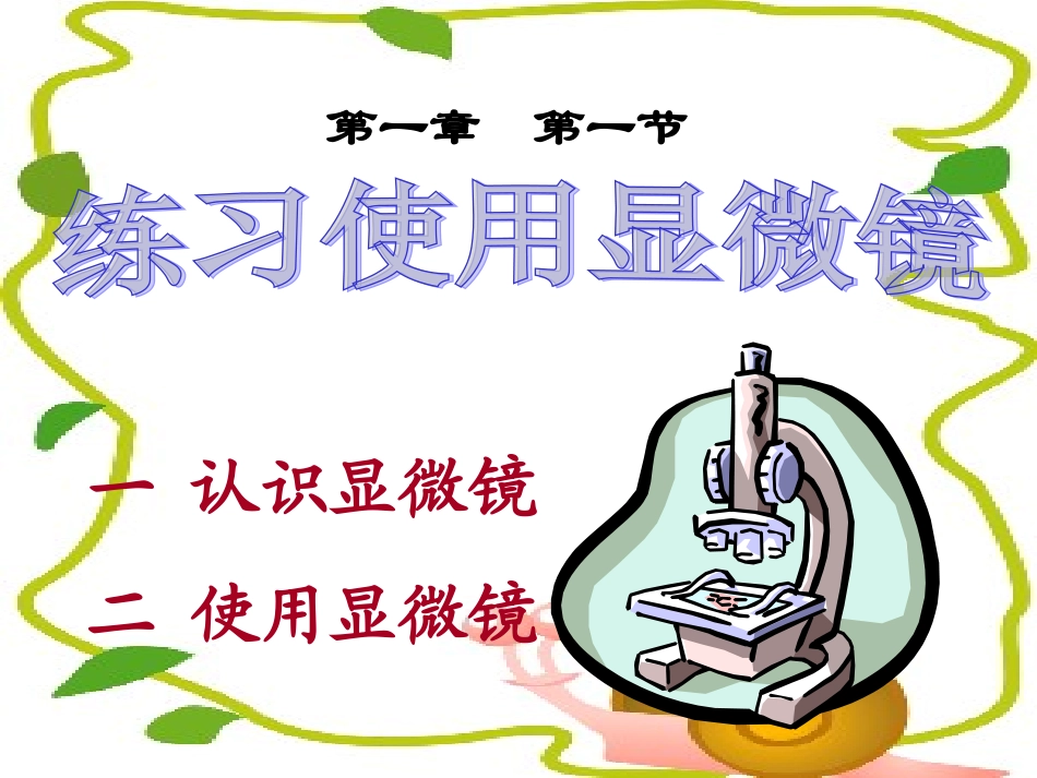 练习使用显微镜2_第3页