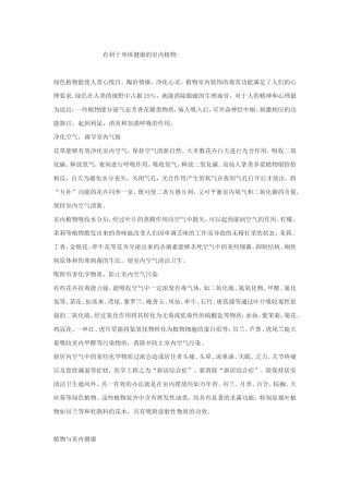 有利于身体健康的室内植物