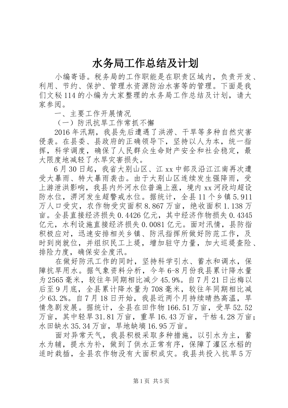 水务局工作总结及计划 _第1页