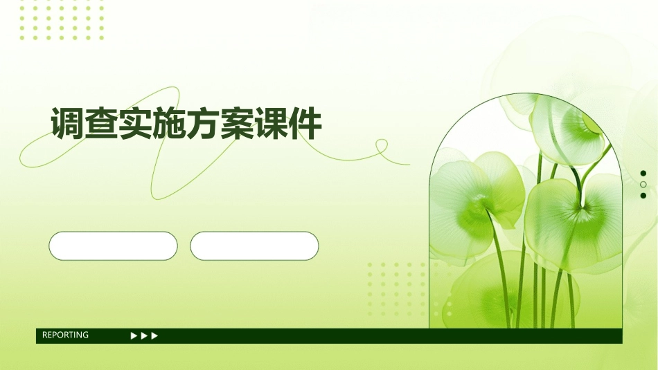 调查实施方案课件_第1页