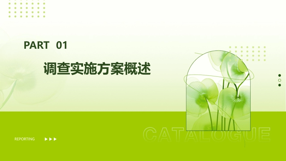 调查实施方案课件_第3页