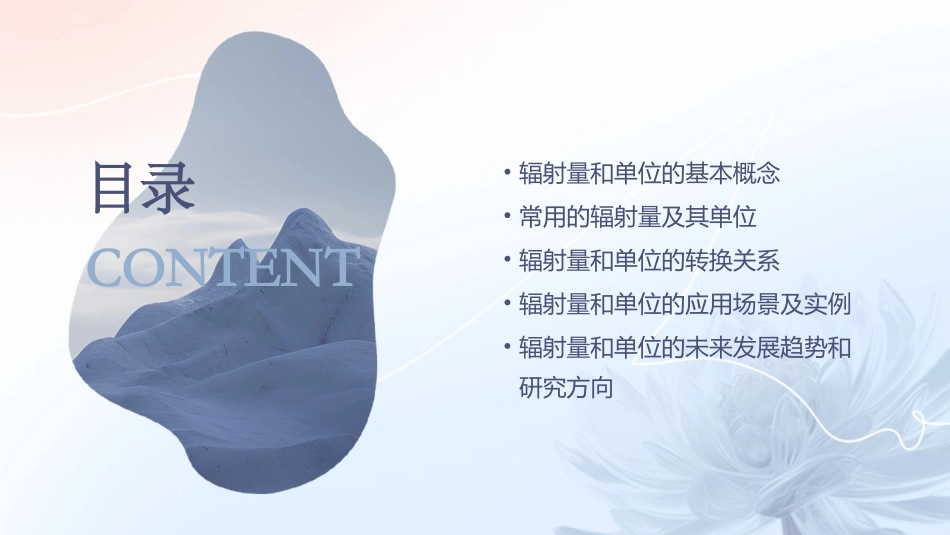 常用的辐射量和单位资料课件_第2页