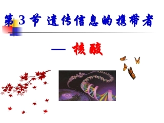 遗传信息携带者——核酸上课