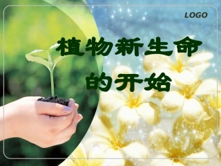 植物新生命的开始