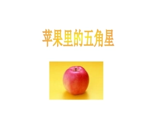 苹果里的五角星63746