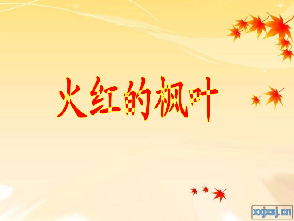 火红的枫叶 (2)_第1页