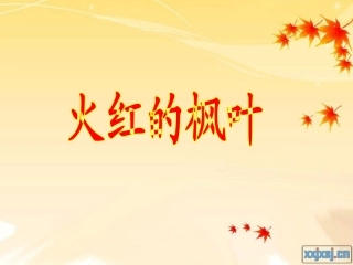 火红的枫叶 (2)