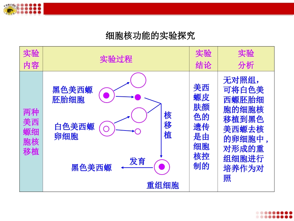 细胞核功能的实验探究_第1页