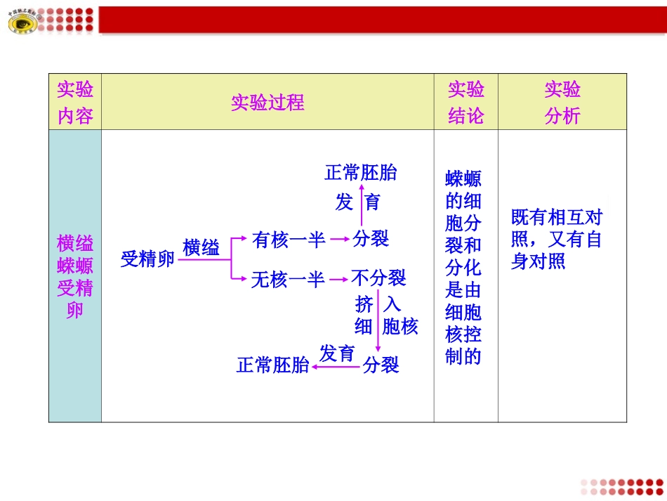 细胞核功能的实验探究_第2页