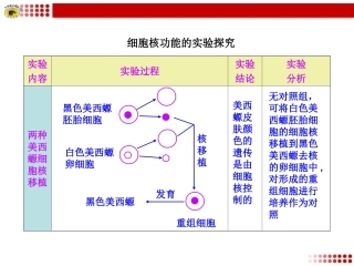 细胞核功能的实验探究