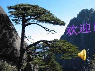 心声演示文稿