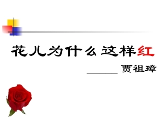 花儿为什么这样红 (4)