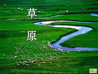 草原（课件）
