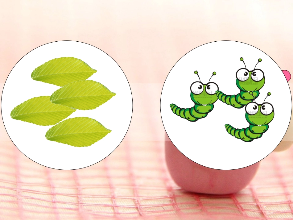 幼儿园小班_比较两组物体多与少__小猴分桃_第2页