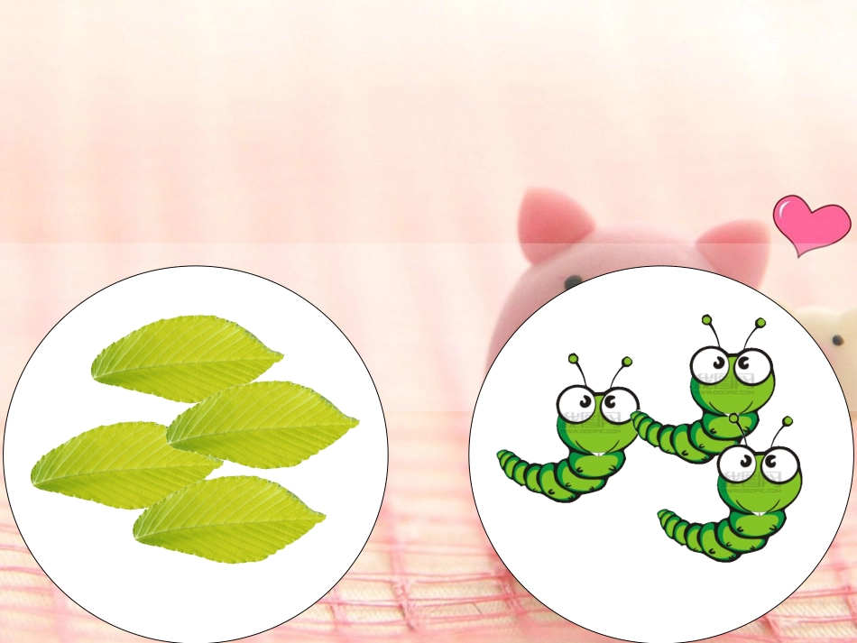 幼儿园小班_比较两组物体多与少__小猴分桃_第3页