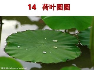 人教版小学语文一年级下册课件