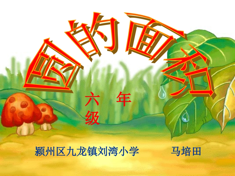 圆的面积课件_第1页