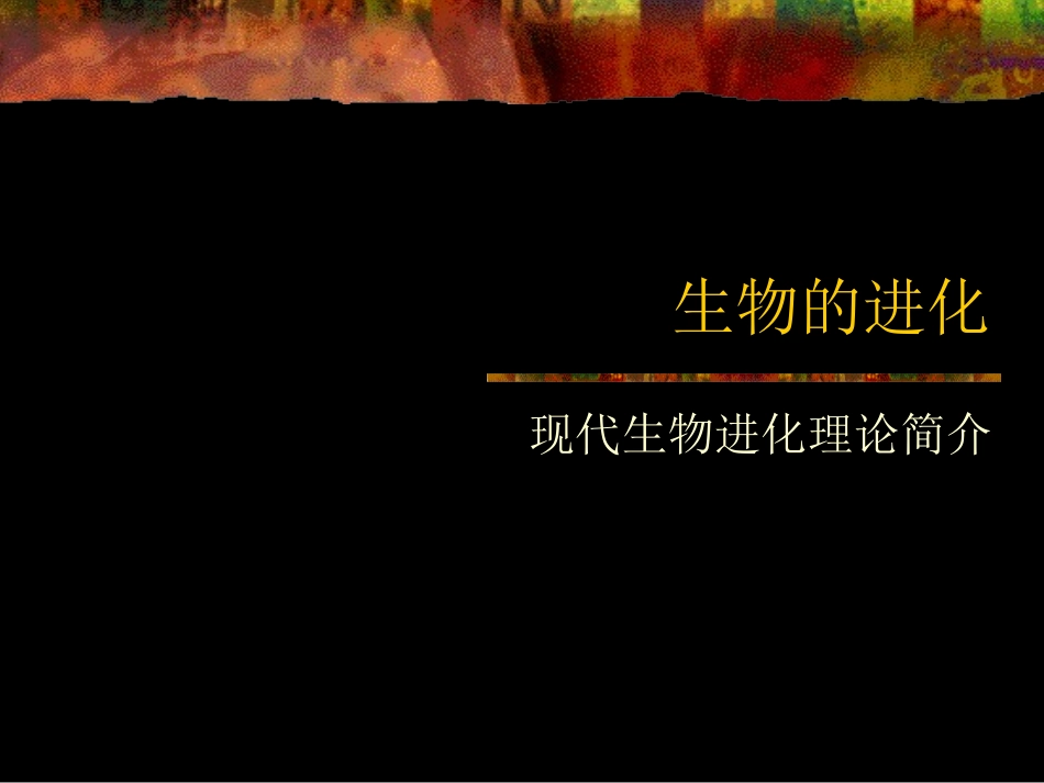 生物的进化－现代生物进化理论简介_第1页