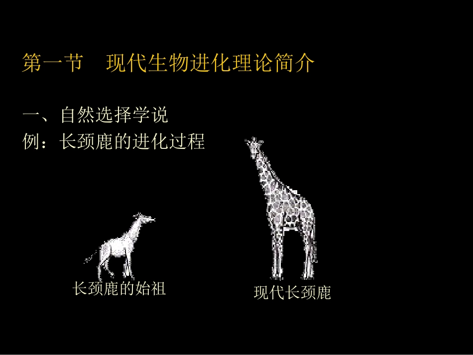 生物的进化－现代生物进化理论简介_第3页