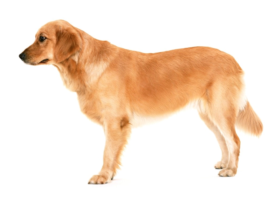 手绘线条图像——物象的空间表达_第2页