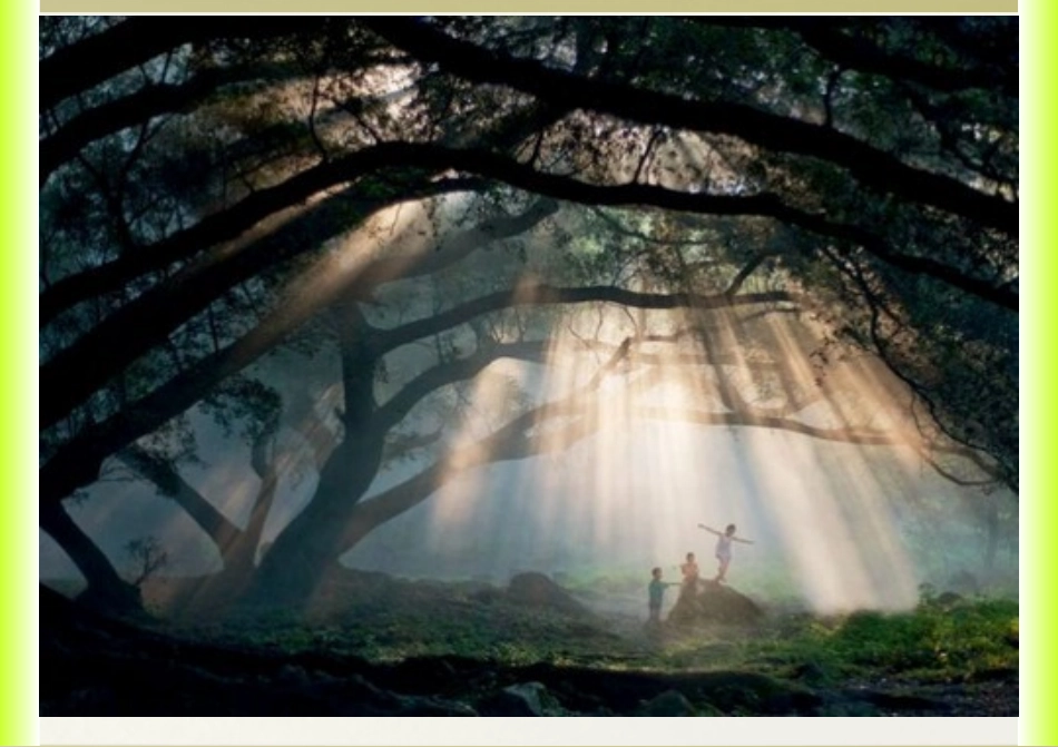 i分散系及其分类_第3页