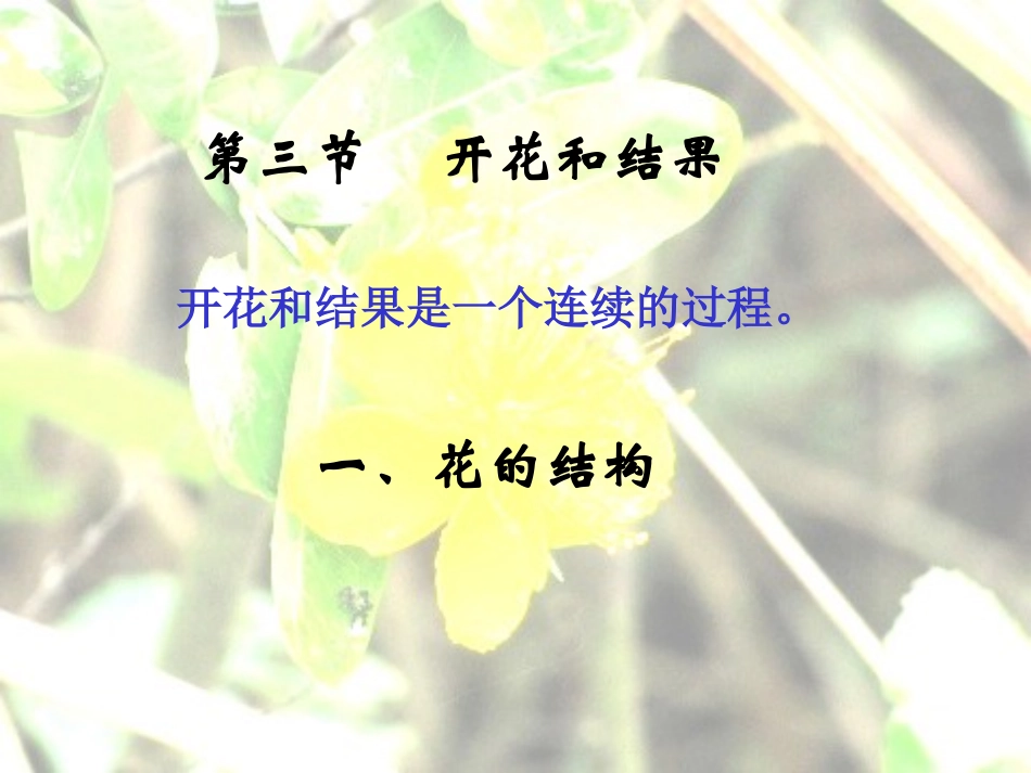 七上三单二章三节+开花和结果++15PPT_第1页