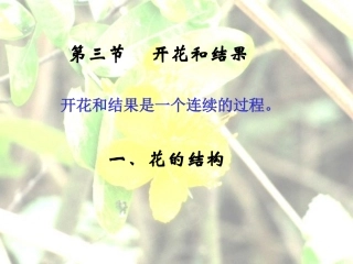 七上三单二章三节+开花和结果++15PPT