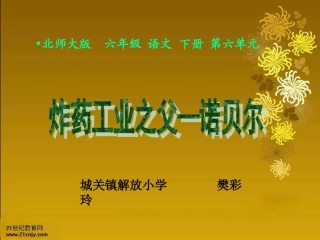 《炸药工业之父—诺贝尔》课件