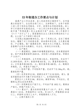 XX年街道办工作要点与计划 